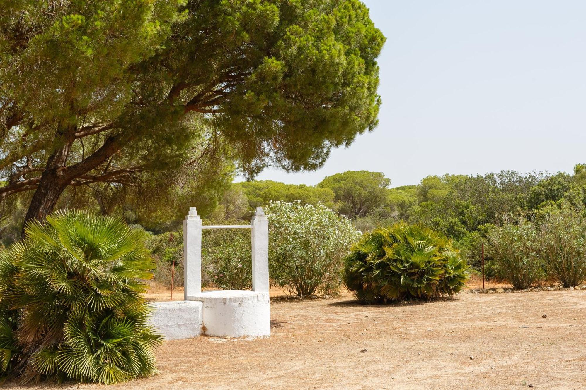 Casa Dehesa De Las Yeguas Cadiz Exterior photo