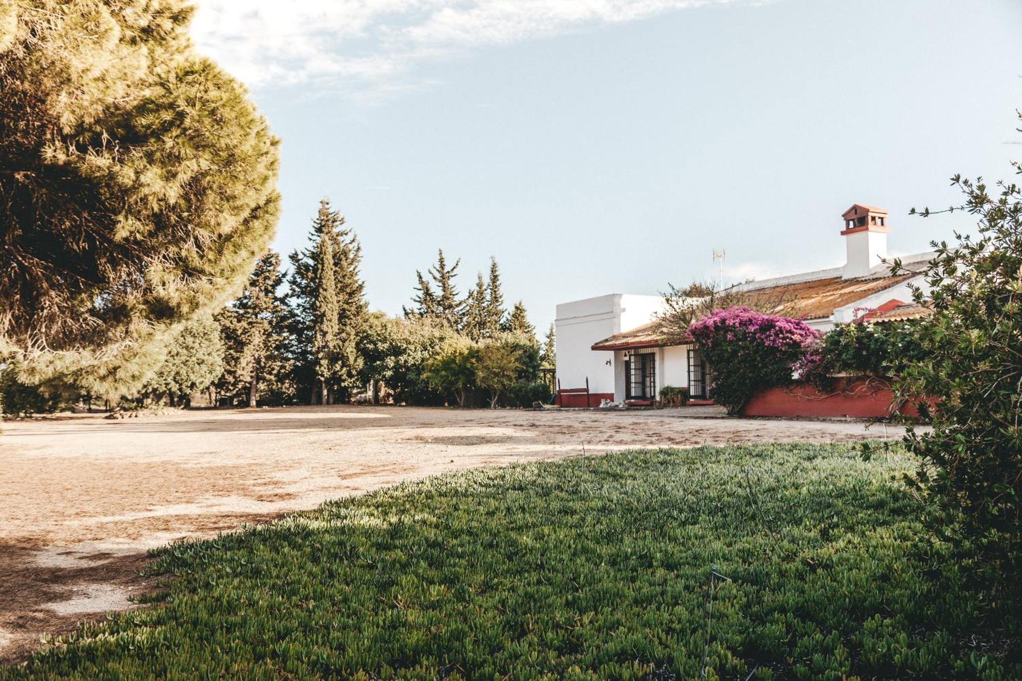 Casa Dehesa De Las Yeguas Cadiz Exterior photo
